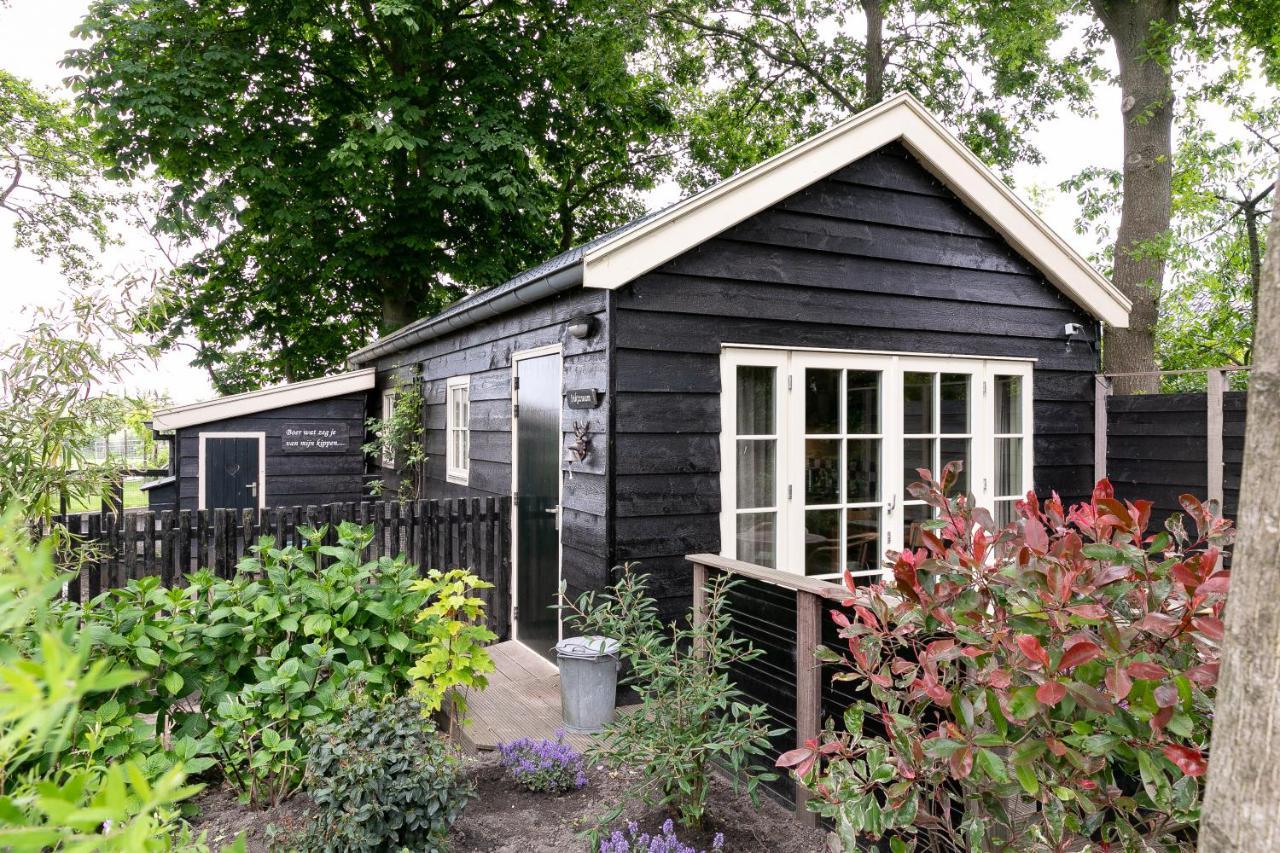 Cottage 'Onder De Boompjes' Oostwoud 外观 照片